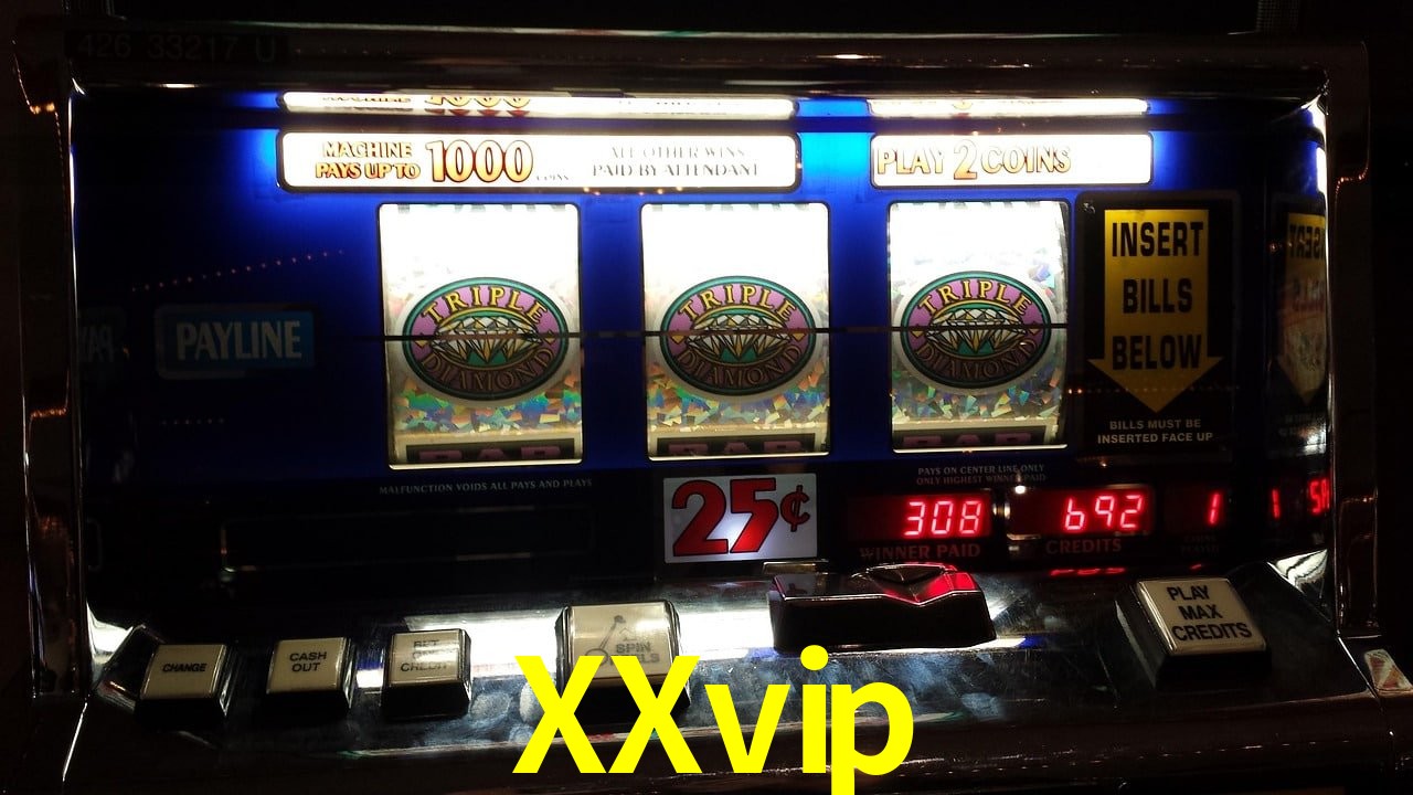 Sports Statistics XXvip
